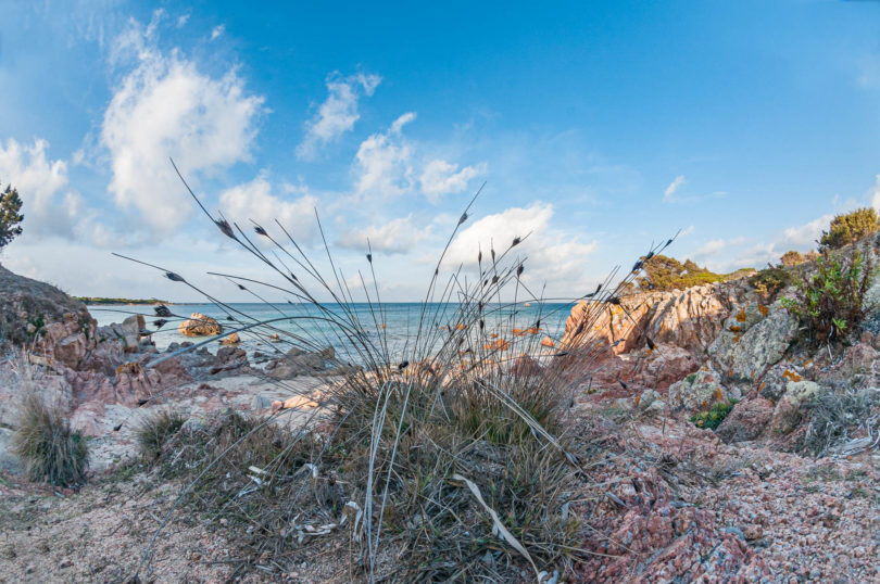 Spaggia Torre Vignola Sassari Aglientu